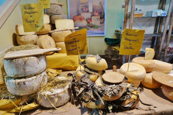 Pecorino cheese in San Miniato. Photo: Clare Speak